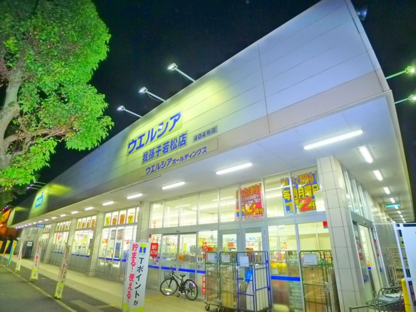 ウエルシア(ドラッグストア)まで849m ＷＩＳＥＣＯＵＲＴ