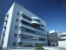 日本社会事業大学(大学/短大/専門学校)まで1500m ＡＶＥＮＩＲ
