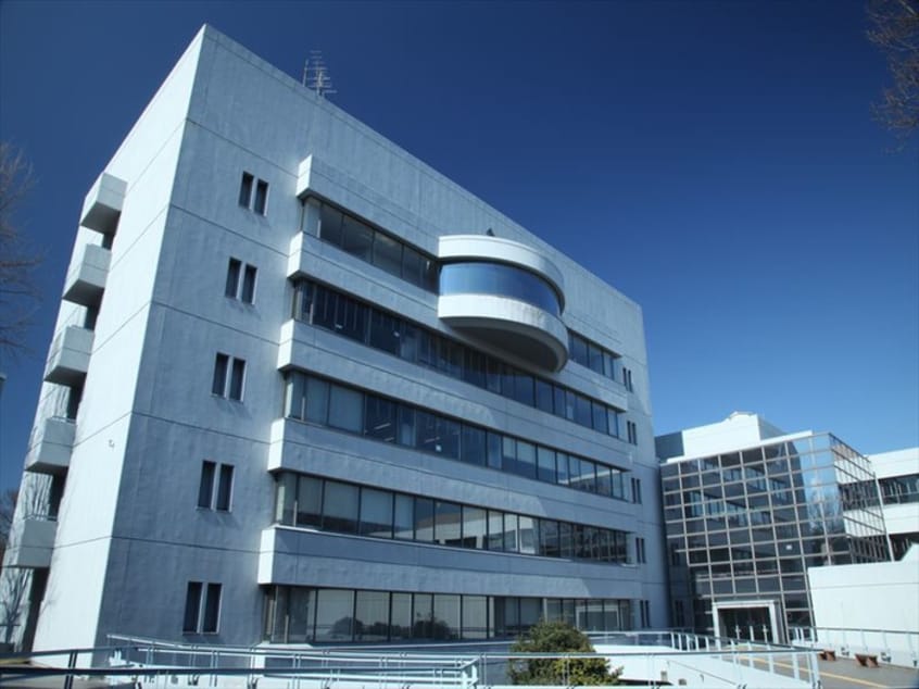 日本社会事業大学(大学/短大/専門学校)まで1500m ＡＶＥＮＩＲ