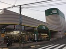 フジ上野川店(スーパー)まで104m アプリコットハウス