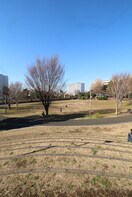公園(公園)まで43m レピュア王子本町