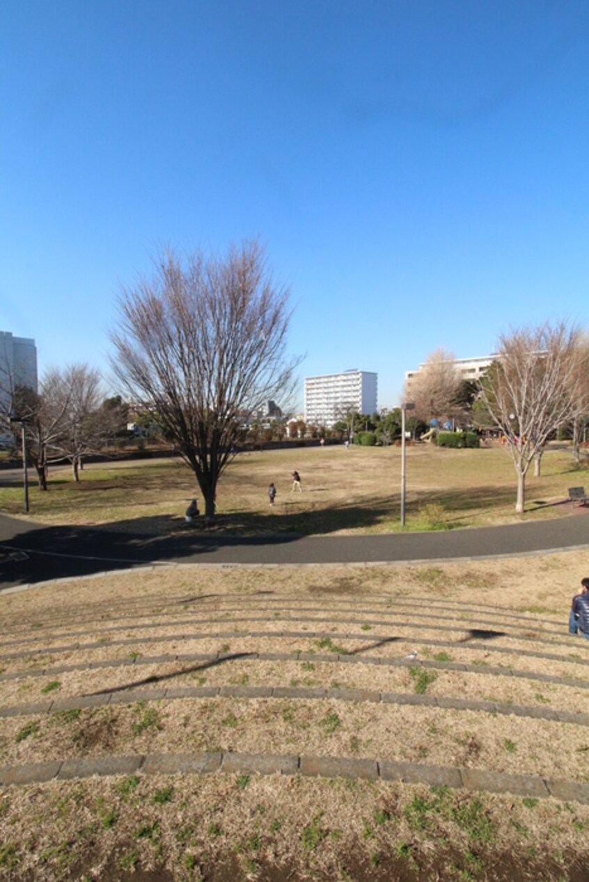 公園(公園)まで43m レピュア王子本町