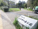 江古田の森公園(公園)まで826m パークサイドマンション松が丘