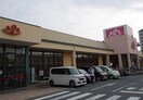 SUPER ALPS(スーパーアルプス) 中野店(スーパー)まで1100m 甲の原セントジュエル