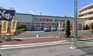 スギドラッグ　志村坂下店(ドラッグストア)まで770m Belle　Scene　Itabashi