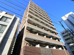 サンテミリオン目白(401)