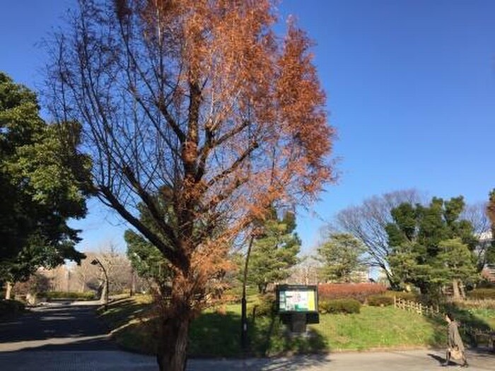 猿江恩賜公園(公園)まで657m ウィルテラス深川住吉