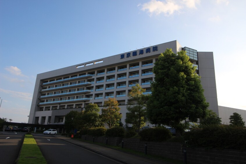東京臨海病院(病院)まで916m エクセル７