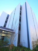 外観写真 Mimosa北朝霞