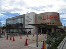 ライフ　氷川台店(スーパー)まで243m ルイ・ハウス桜台