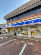 ローソン浦和東岸町(コンビニ)まで540m グリーンプラザ岸町