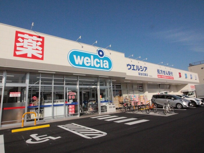 ウエルシア草加花栗店(ドラッグストア)まで900m リブリ・草加Ⅱ