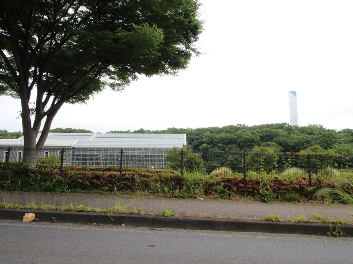 相模原公園(公園)まで1739m maison楓　Ⅱ