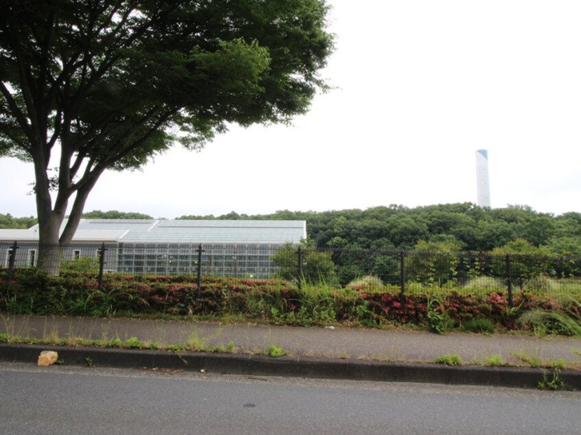 相模原公園(公園)まで1739m maison楓　Ⅱ