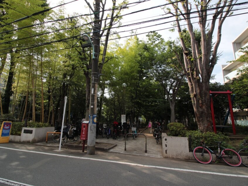 中央緑地公園(公園)まで400m 弥生レジデンスA棟