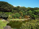 小石川植物園(公園)まで268m LEXE文京白山(701)