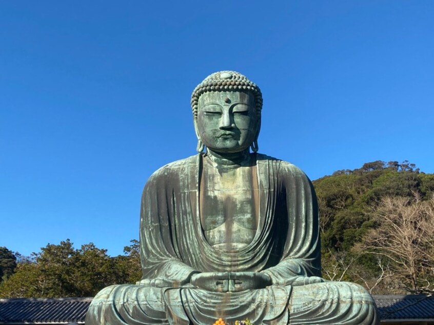 鎌倉大仏殿高徳院(美術館/博物館)まで1300m グランデュ－ル鎌倉