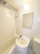 洗面 スカイピア平井A棟