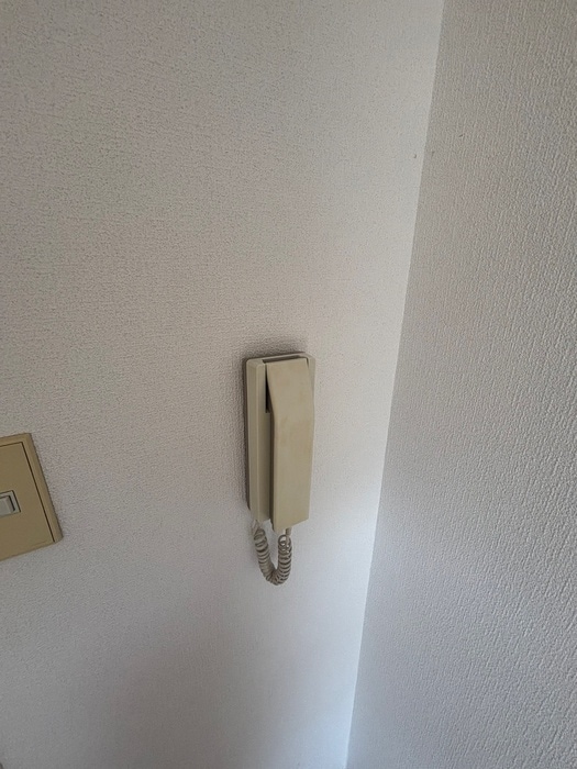 内観写真 スカイピア平井A棟