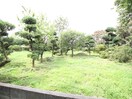 周辺環境 ドルフ深大寺