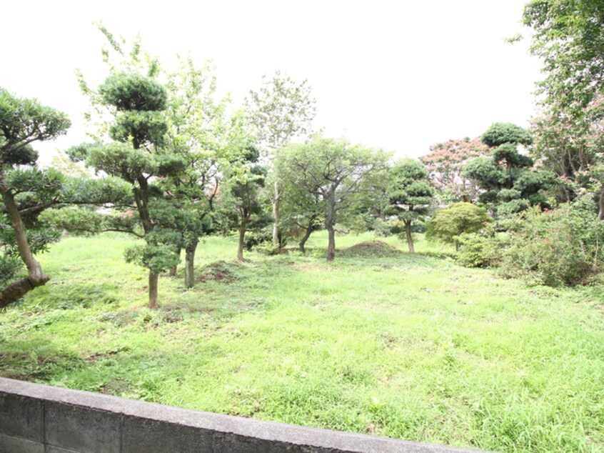 周辺環境 ドルフ深大寺