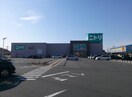 ニトリ川越店(電気量販店/ホームセンター)まで550m エメラルドハイツＥ