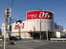 ロヂャース川越店(スーパー)まで1000m エメラルドハイツＥ