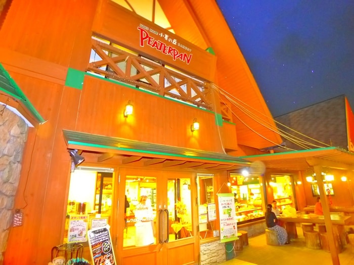 ピーターパン(その他飲食（ファミレスなど）)まで100m 勝田台ガーデンテラス