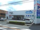 ウエルシア飯能緑町店(ドラッグストア)まで239m メゾンクレス