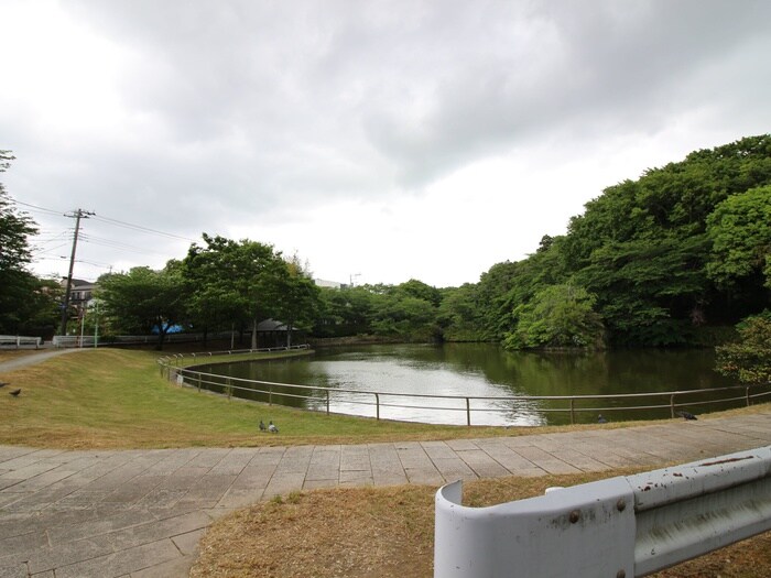 松ケ丘市民の森(公園)まで1000m ロイヤルコート