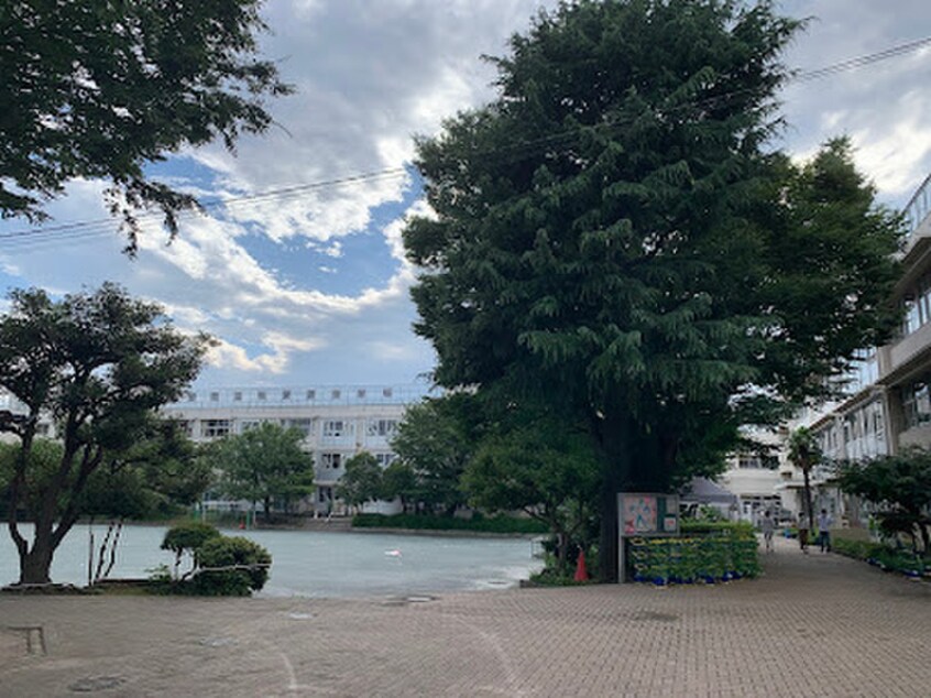 世田谷区立深沢小学校(小学校)まで500m モデラ－ト