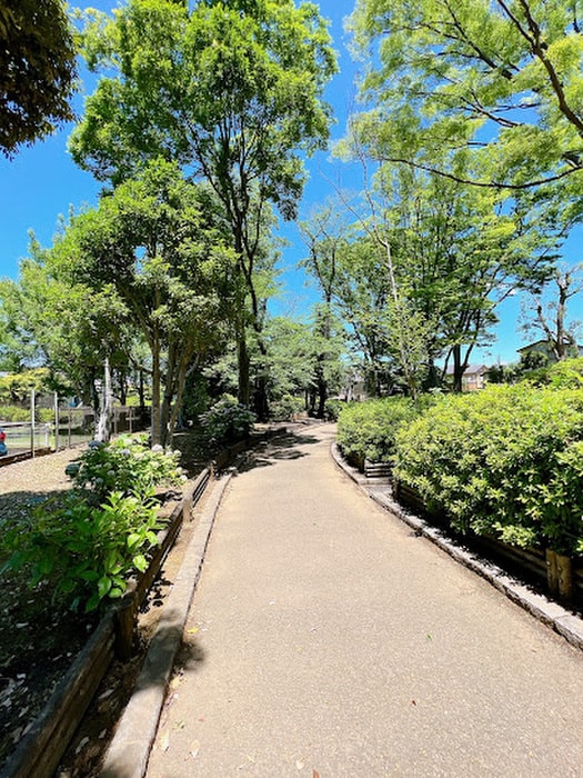 世田谷区立駒沢緑泉公園(公園)まで220m モデラ－ト