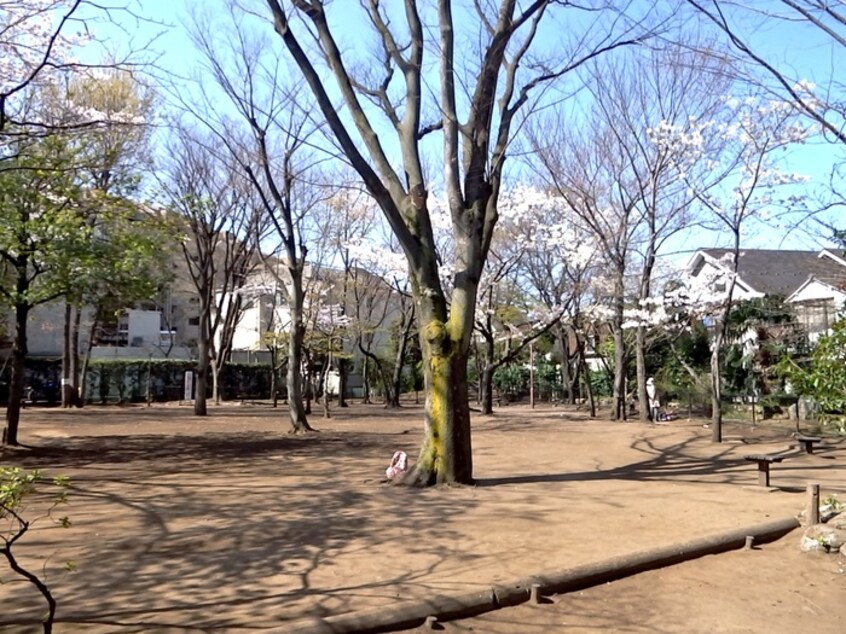 中央緑地公園(公園)まで123m サンシャイン学芸大学