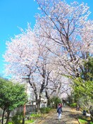 物件(公園)まで1200m カ－サ南台