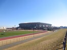 日産スタジアム(公園)まで1400m グランメ－ルⅡ