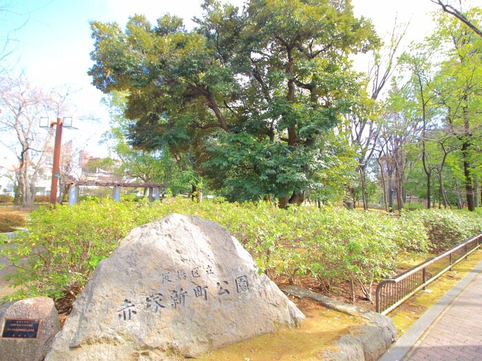 赤塚新町公園(公園)まで218m メゾン光が丘
