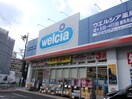 ウェルシア練馬向山店(ドラッグストア)まで198m まるハウス中村橋