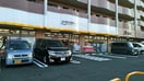 ワークマン(電気量販店/ホームセンター)まで600m クラスタ南万騎が原Ｂ