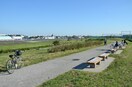武蔵野の森公園(公園)まで1100m ハーティハイツ