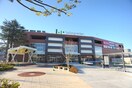 ララガーデン川口(ショッピングセンター/アウトレットモール)まで350m プレクシアガーデン