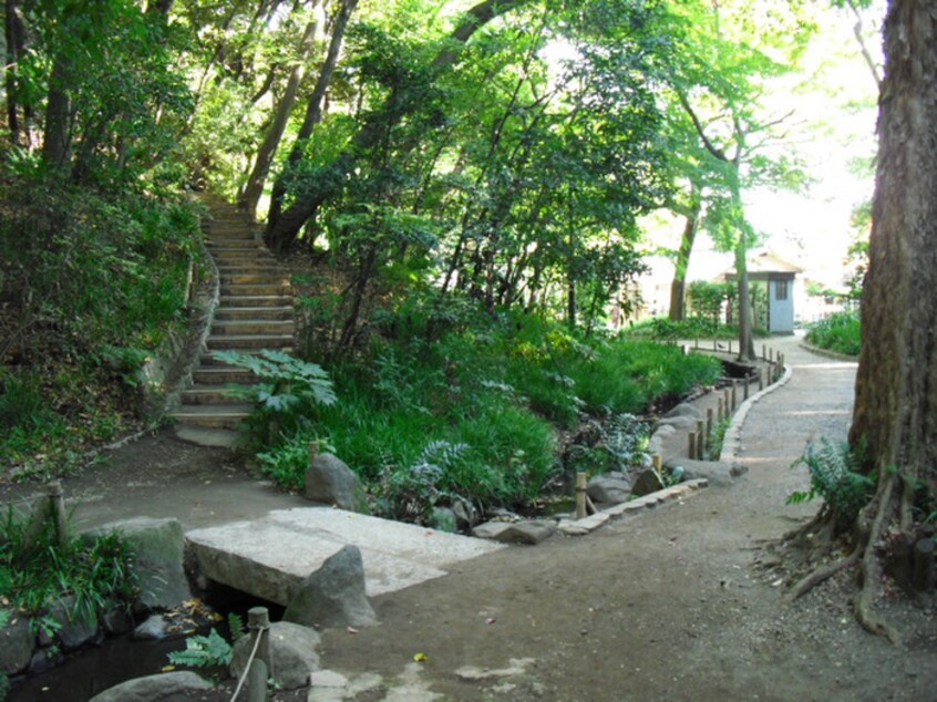 おとめ山公園(公園)まで396m グラナーデ目白御留山