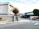 川崎市立平間中学校(中学校/中等教育学校)まで200m フォレスタ上平間