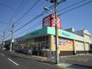 ウェルパーク調布仙川店(ドラッグストア)まで719m パラゼット中原
