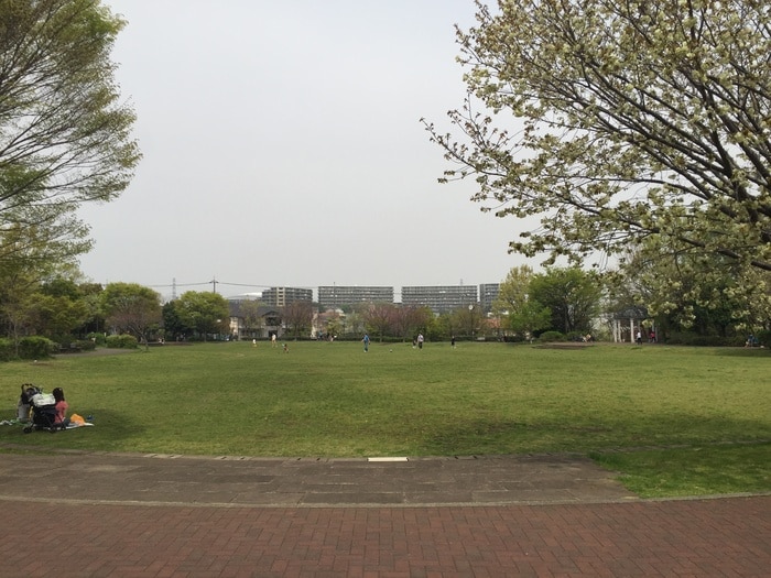 滝ケ谷公園(公園)まで343m シンシア