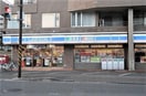 ローソン　都筑南山田二丁目店(コンビニ)まで740m シンシア