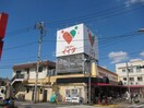 コモディイイダ　徳丸店(スーパー)まで351m セジュール西台６