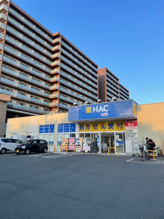 ハックドラッグ湘南ライフタウン店(ドラッグストア)まで1800m ハイツ五代