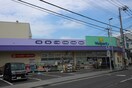 Welpark(ウェルパーク) 川崎中野島店(ドラッグストア)まで592m メゾン・リコウ