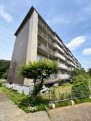 鎌ケ谷ｸﾞﾘｰﾝﾊｲﾂ５号棟(304)の外観