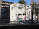 杉山幼稚園(幼稚園/保育園)まで486m アニメイト井土ヶ谷